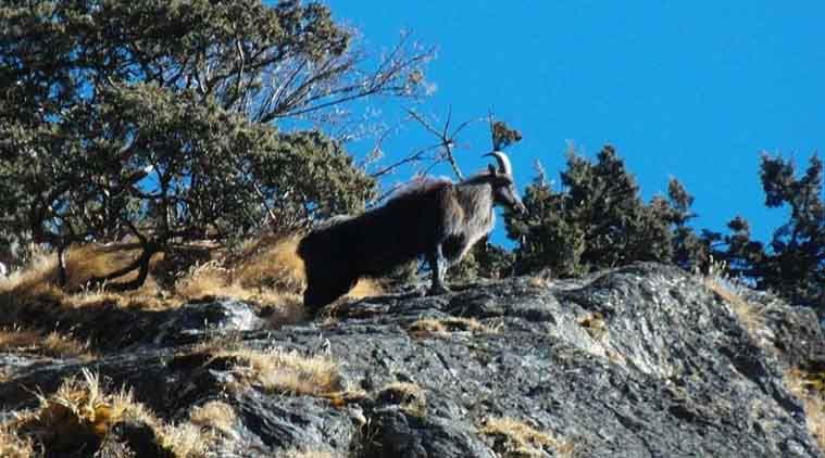 Dhorpatan Hunting Reserve Nepal