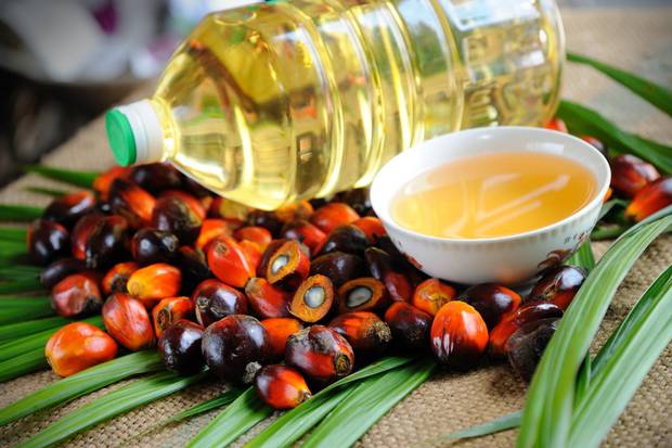 What is palm oil? India permits palm oil import from Nepal.